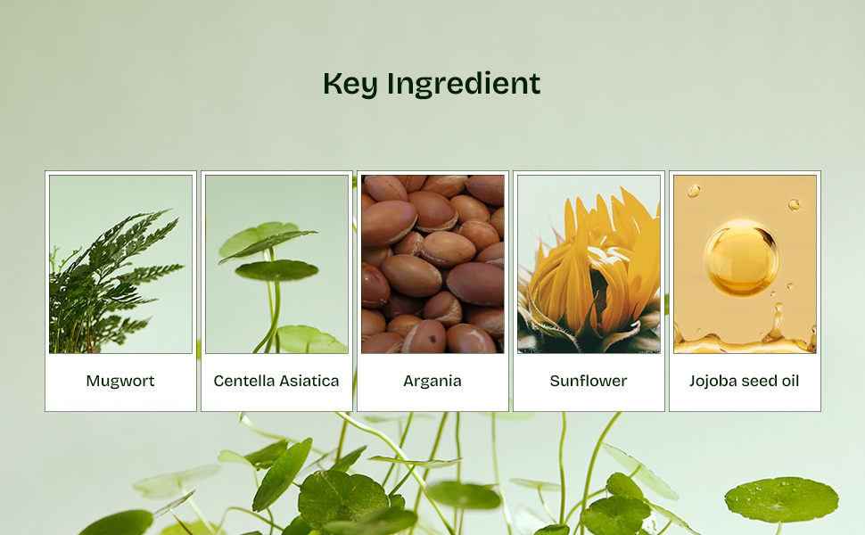 Orien Mugwort Zero Film Temizleme Yağı (200 ml) - Görsel 5